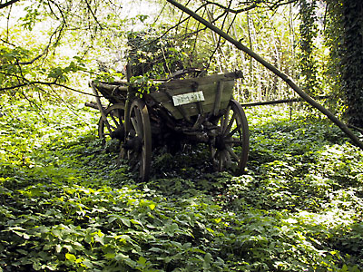 Blick in den Garten 2002