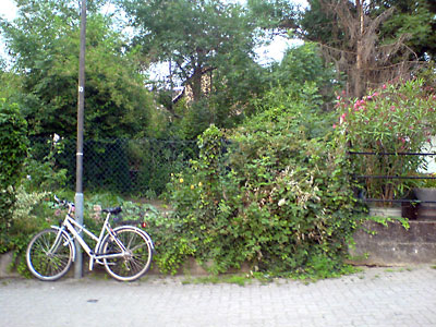 Die geplante Tiefgaragenzufahrt