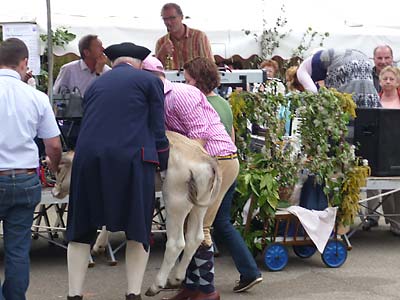 Das Kalb muss getragen werden