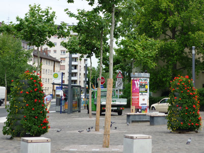 Fotografie der Geranienständer am Markt