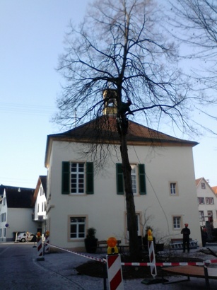 files/bilder/2015/2015_02_Baum/DSC_0824.jpg files/bilder/2015/2015_02_Baum/DSC_0824.jpg